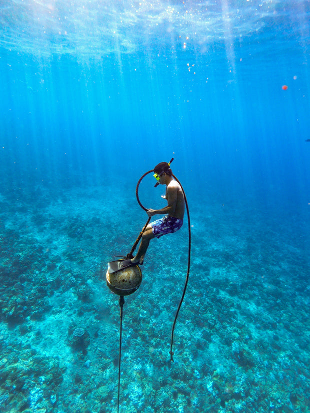 <h3><a href="https://nzdiver.nz/collections/rail-spearguns" title="https://nzdiver.nz/collections/rail-spearguns"><strong>Rail Spearguns</strong></a></h3>