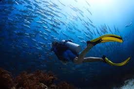Why Getting Your Dive Gear Serviced Matters