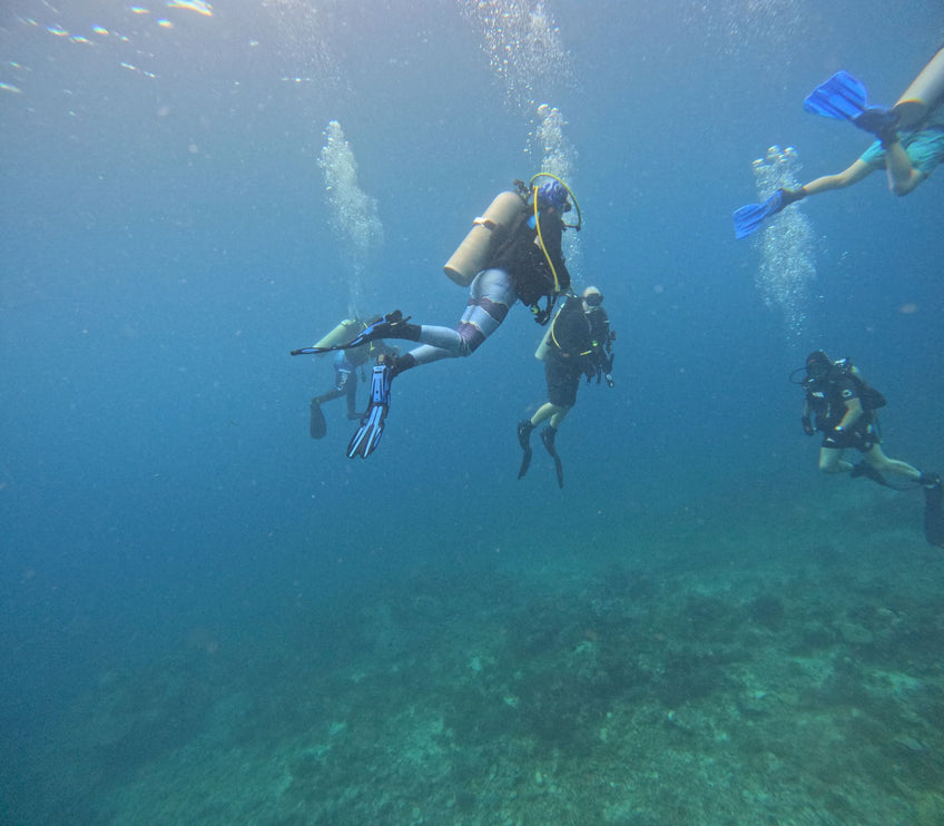 Northern Palawan Dive Adventure May 2027 – 26 Dives Philippines Holiday with NZDiver