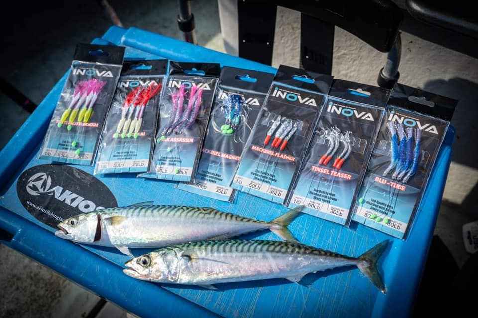 INOVA Bait Flasher Rig – Tutti Frutti Hokkai 1/0 Hook | Live Bait Rig NZ