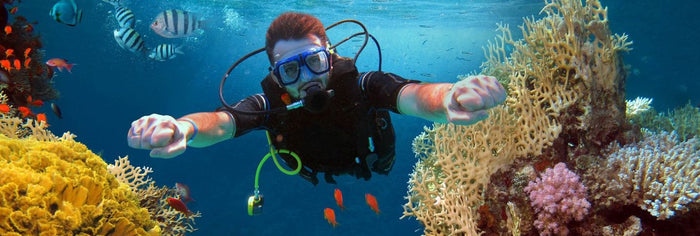 <h1>Buy the Best Mask and Snorkel Sets in NZ</h1>