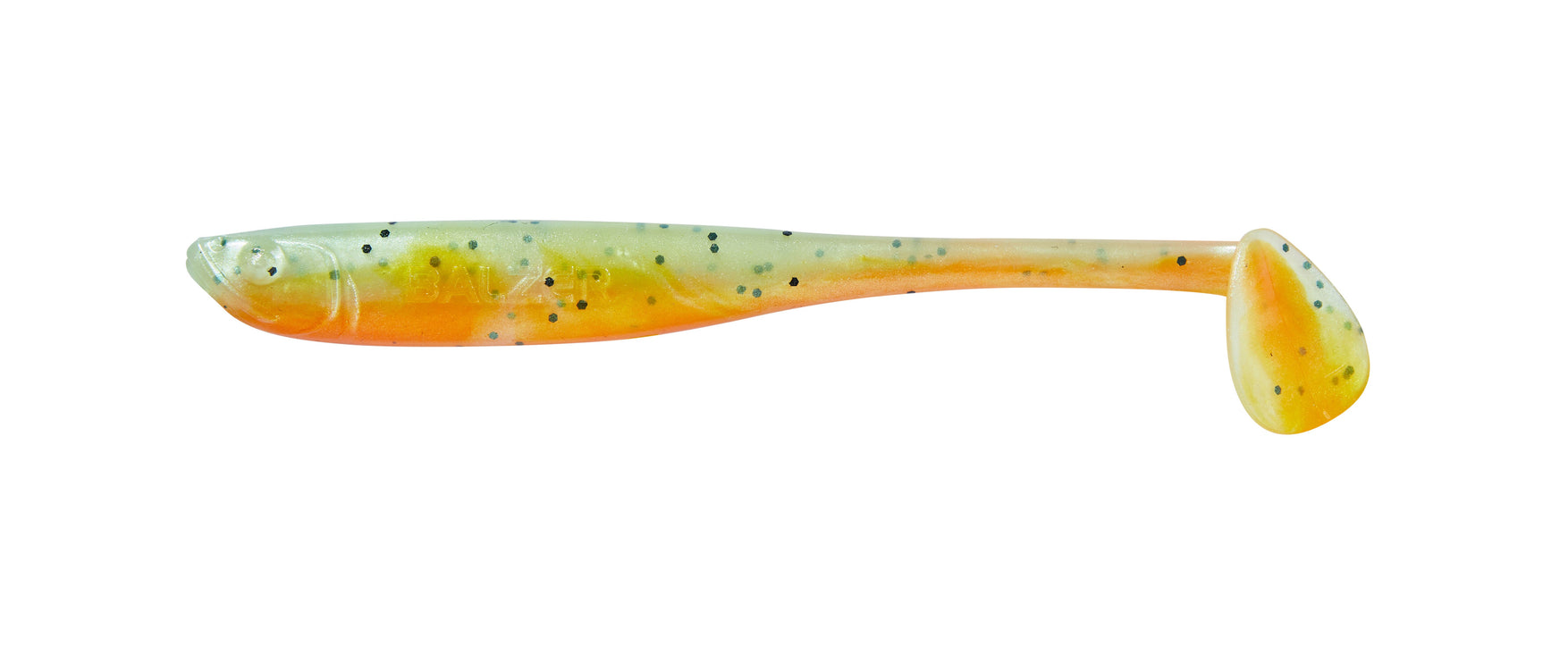 Shirasu Z Shad